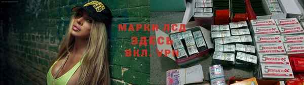 гидра Алексеевка