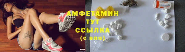 гидра Алексеевка