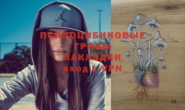 гидра Алексеевка