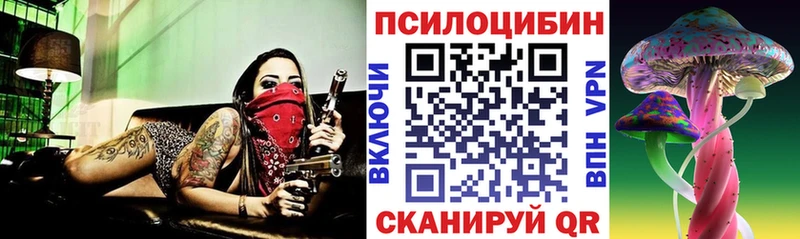 Псилоцибиновые грибы мицелий  купить наркотик  Биробиджан 